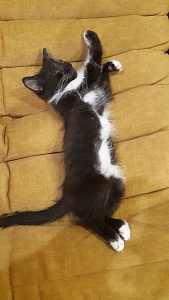 Фото покупателя, оценка 5 - 2